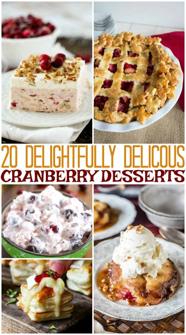 20 Delightfully Delicious Cranberry Desserts for Thanksgiving | #cranberry #dessert #desserts #thanksgiving #winter #christmas 20 Delightfully Delicious Cranberry Desserts for Thanksgiving