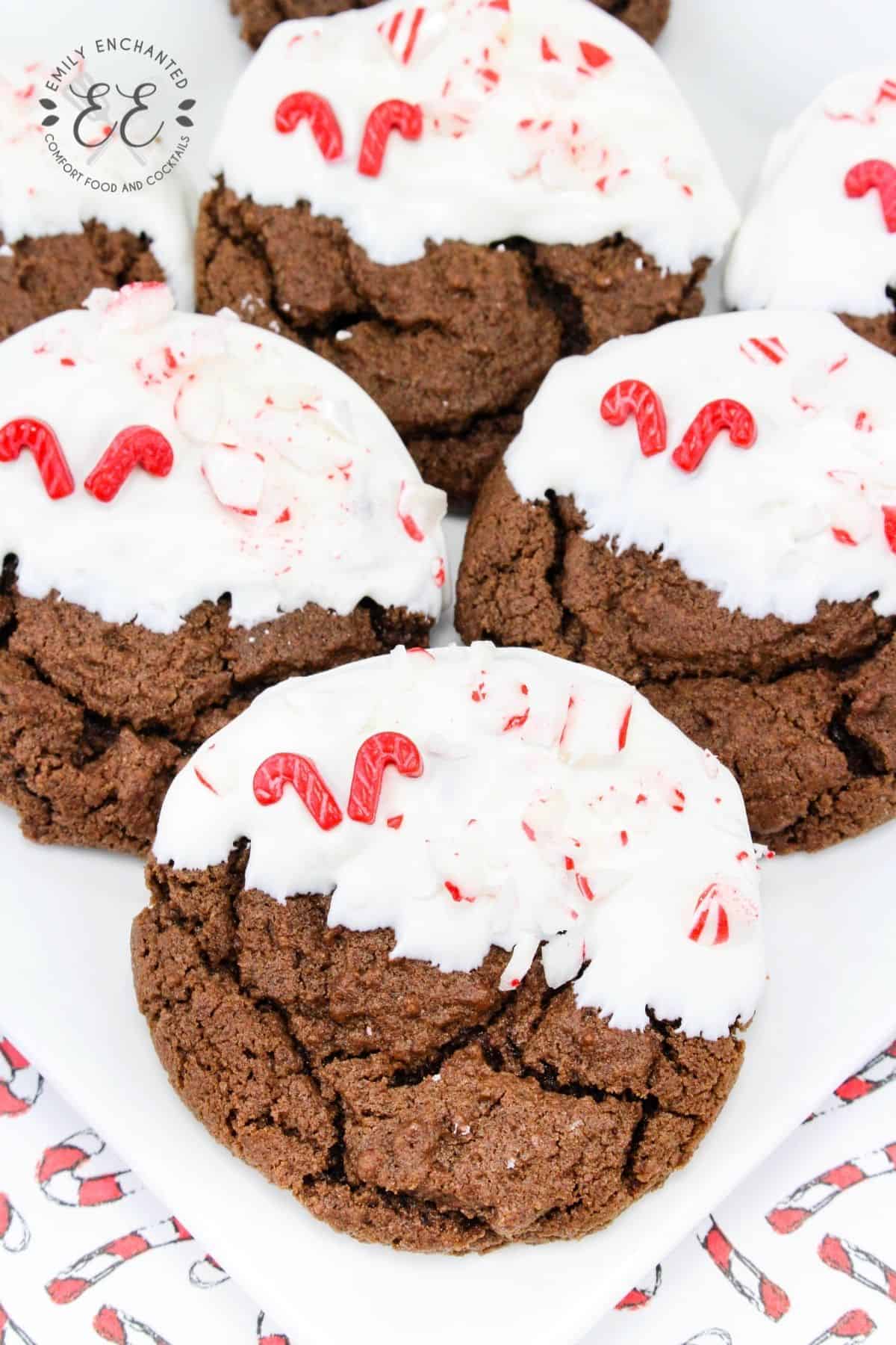 Chewy Chocolate Peppermint Cookies