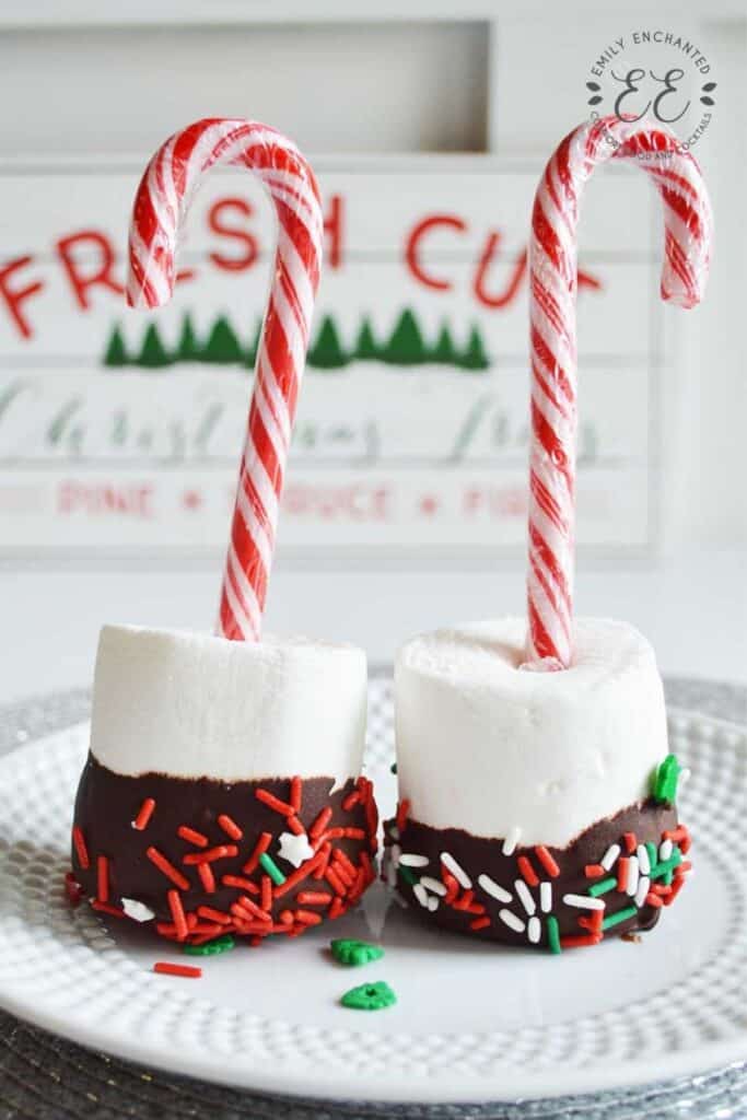 Christmas Marshmallow Pops Recipe for Hot Chocolate Christmas Marshmallow Pops Recipe for Hot Chocolate