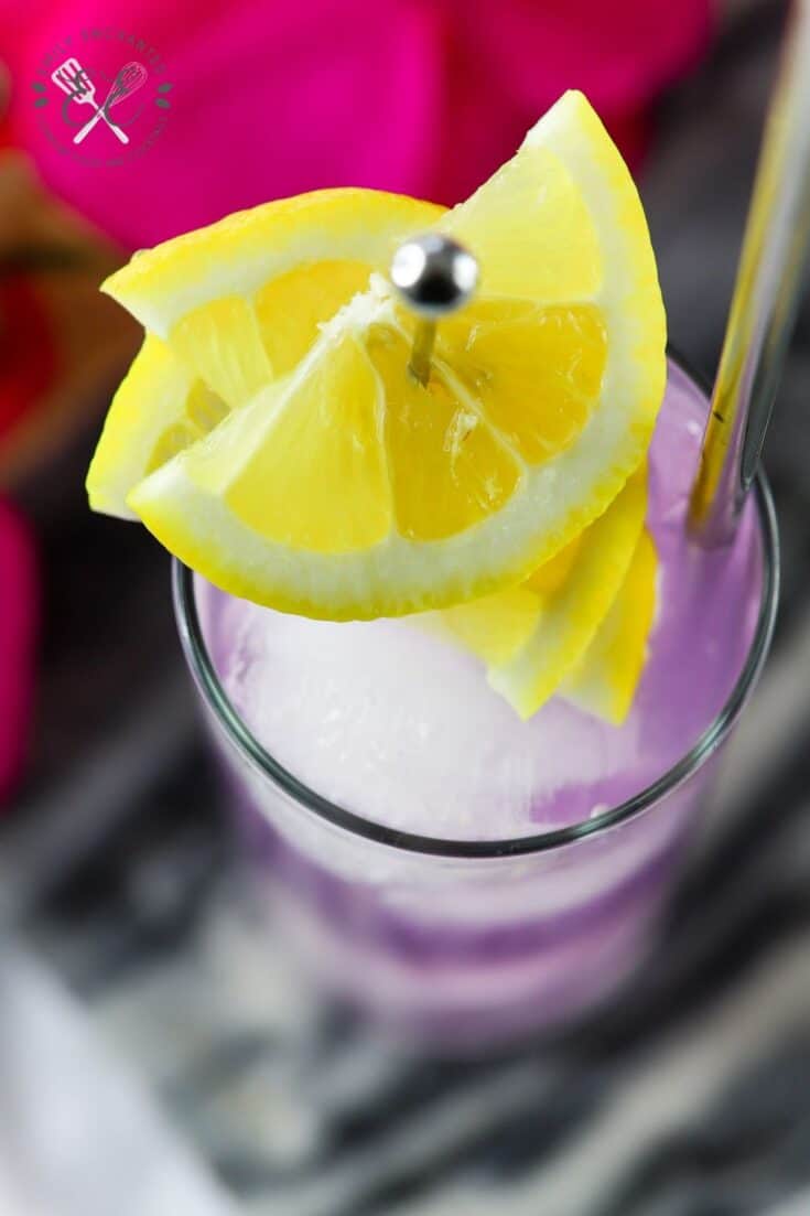 The Best Lavender Lemon Lime Vodka Cocktail Recipe