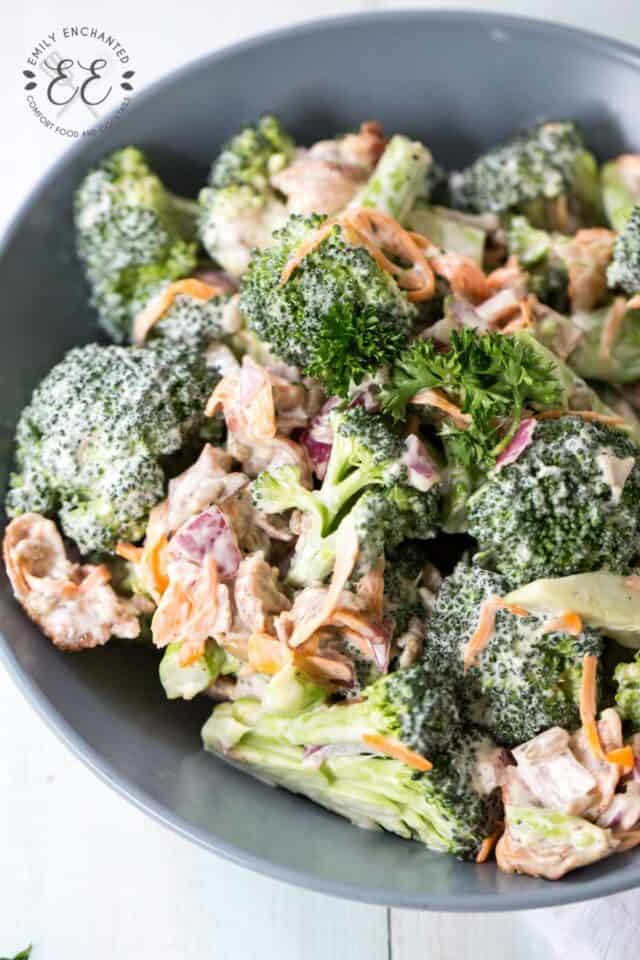 The Best Easy Cold Bacon Broccoli Salad Side Dish Recipe