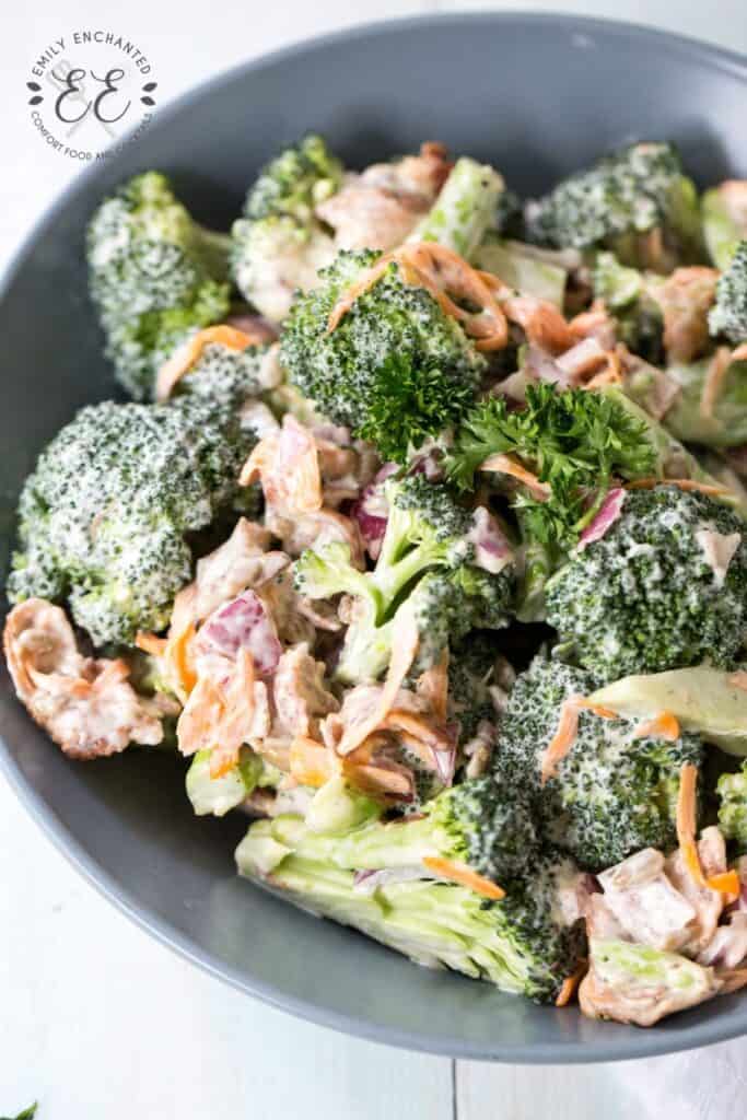 Easy Bacon Broccoli Salad Recipe