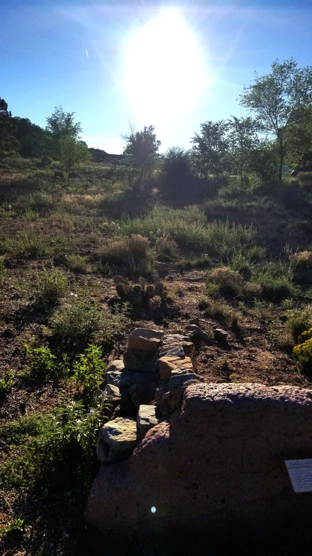 Tijeras Pueblo Archaeological Site