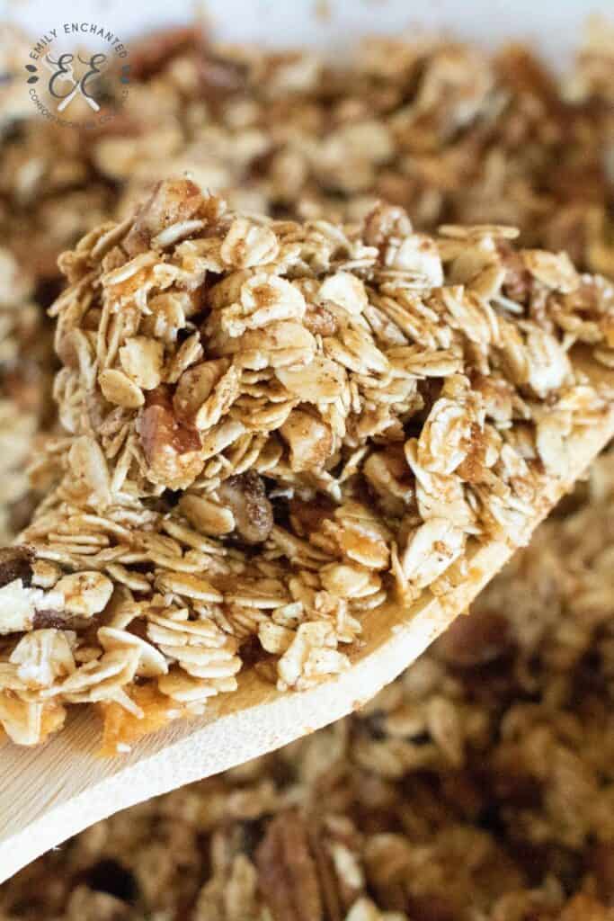 Pumpkin Granola Pumpkin Granola