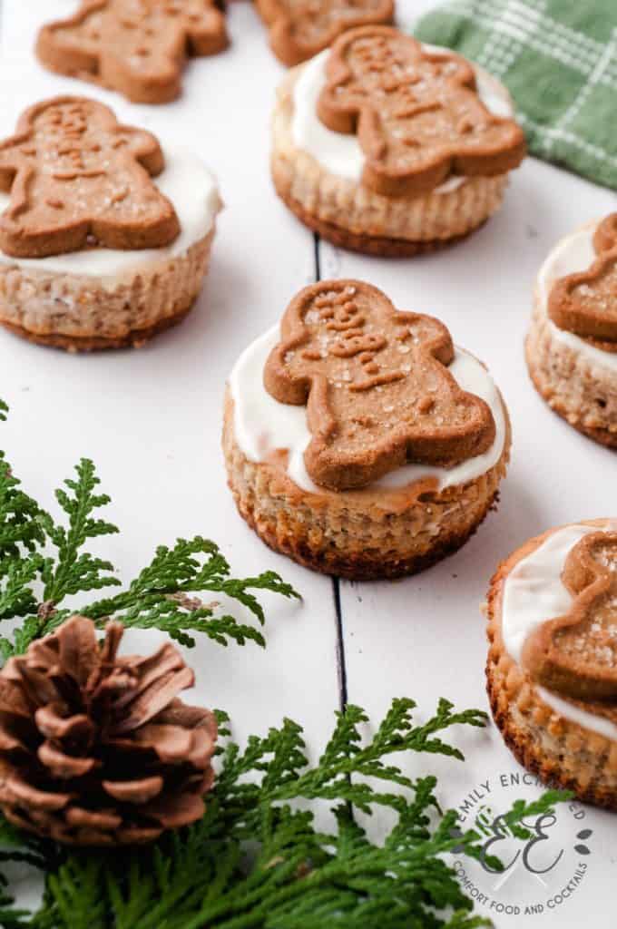 Gingerbread Cheesecake Bites with Gingerbread Cookies