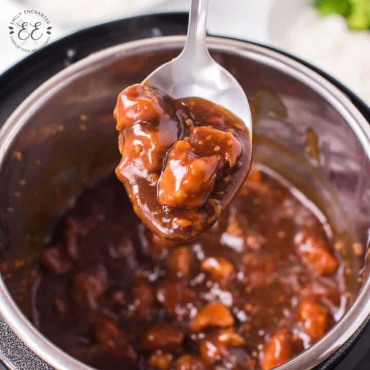 Instant Pot Teriyaki Chicken Recipe
