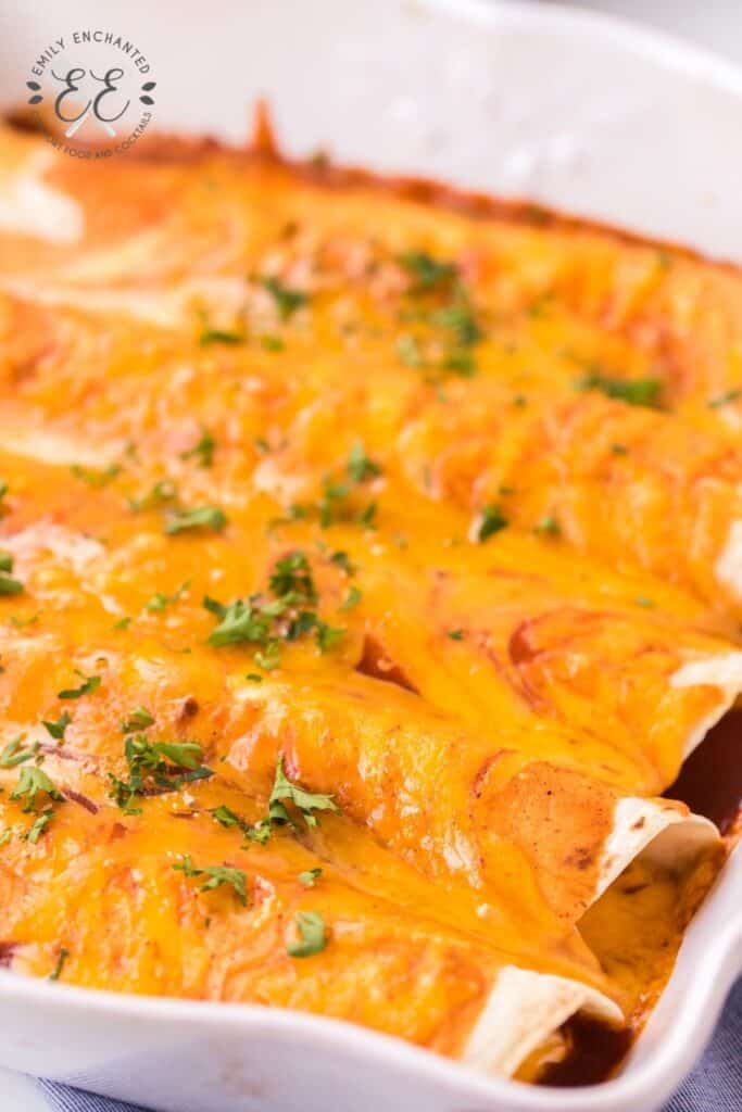 Sour Cream Enchiladas