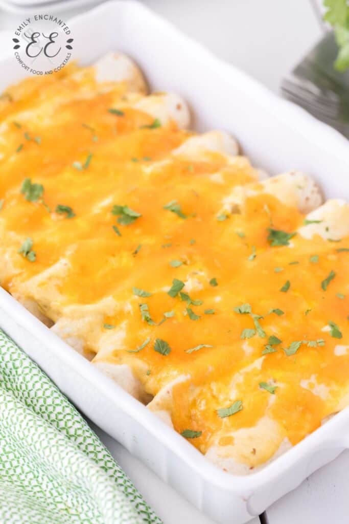 Chicken and Sour Cream Enchiladas