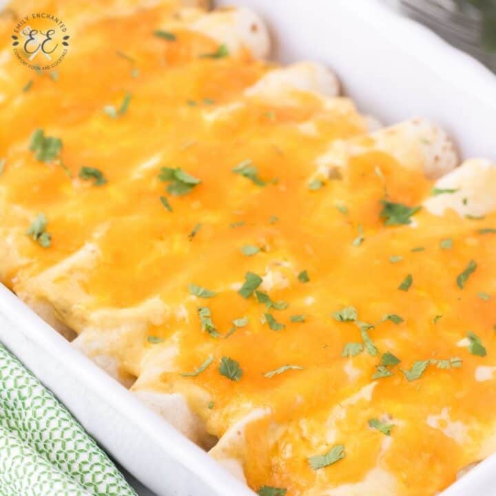 Easy Chicken Enchiladas Recipe