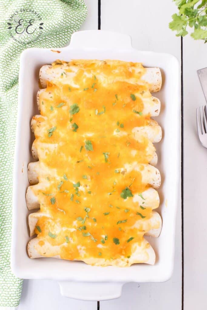 Easy Chicken Enchiladas Recipe Easy Chicken Enchiladas Recipe