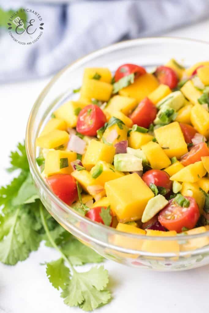 Mango Salsa Recipe Mango Salsa Recipe