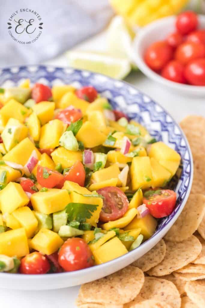 Fresh Mango Avocado Salsa Recipe