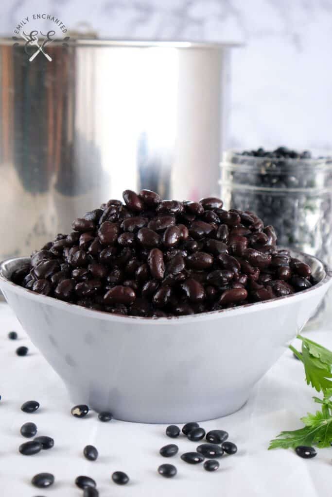 Instant Pot Black Beans Recipe