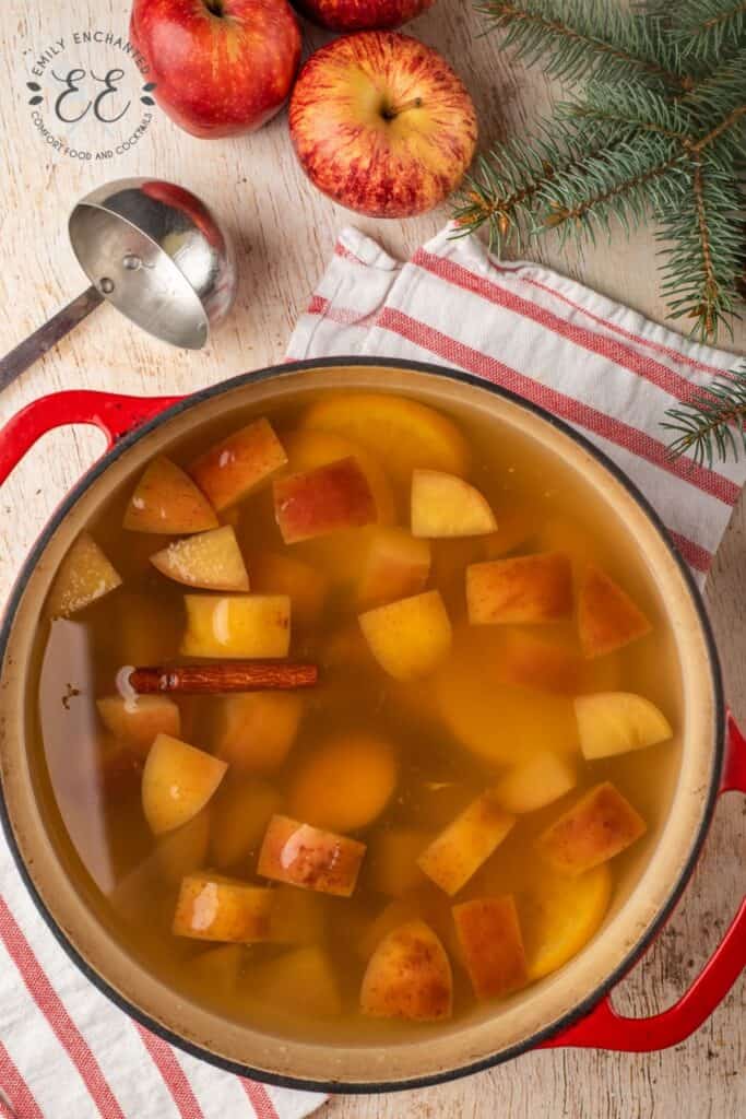 Hot Apple Cider from Scratch