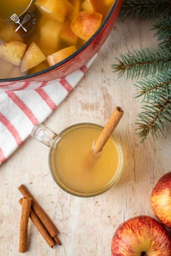 Spiced Apple Cider Spiced Apple Cider