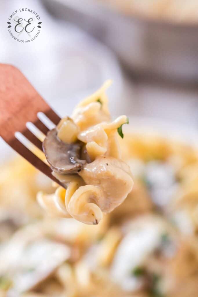 Chicken and Mushroom Stroganoff Recipe Chicken and Mushroom Stroganoff Recipe