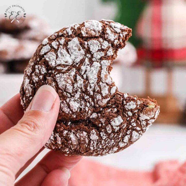 Mint Chocolate Crinkle Cookies