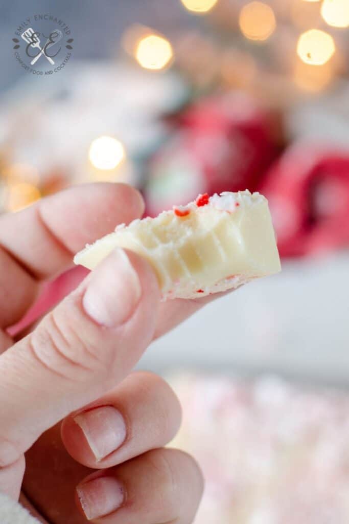 Peppermint Fudge