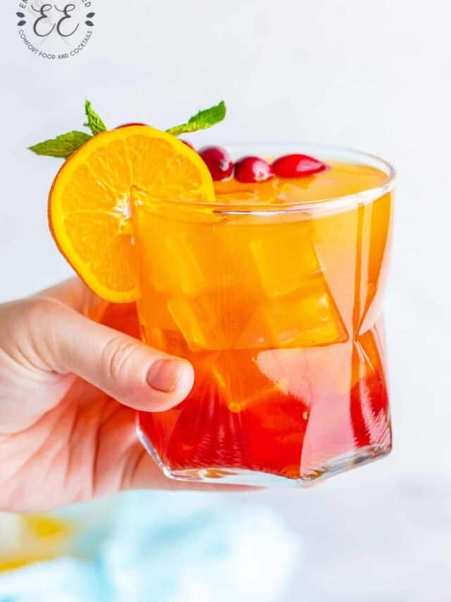 Orange Cranberry Gin and Juice Emily Enchanted