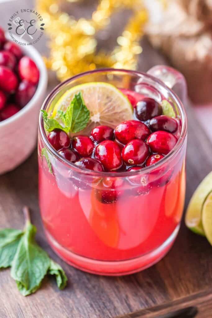 Christmas Cranberry Punch