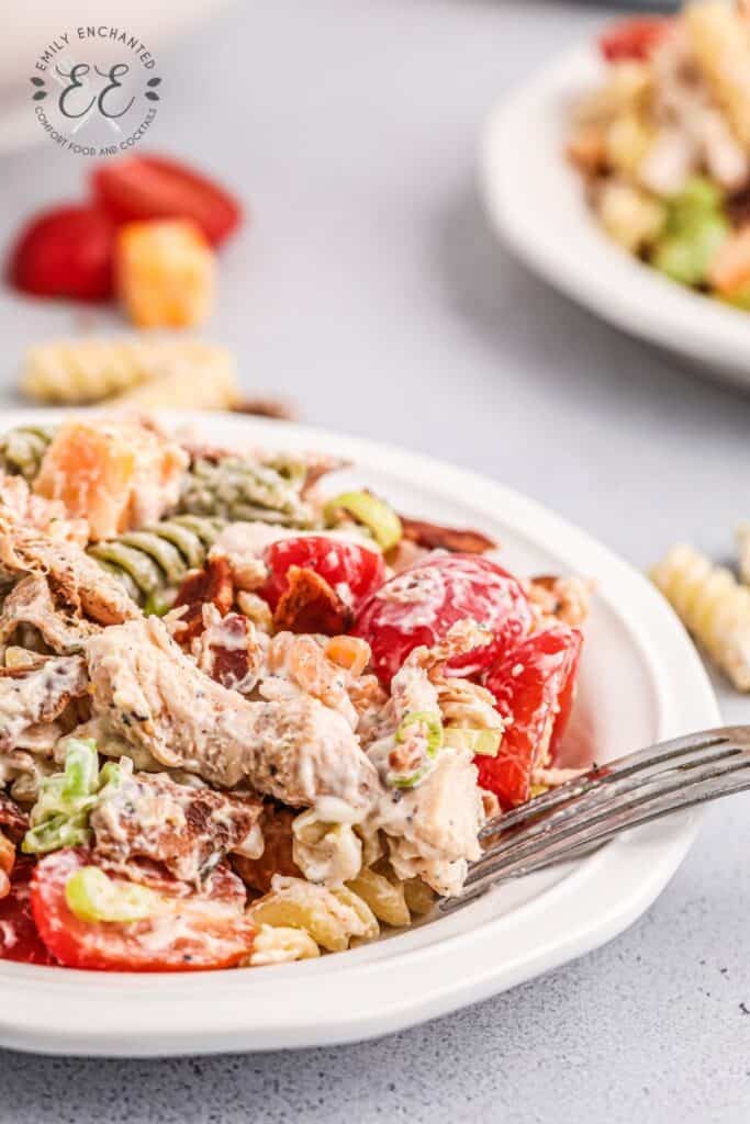 Chicken Bacon Ranch Pasta Side Dish Chicken Bacon Ranch Pasta Side Dish
