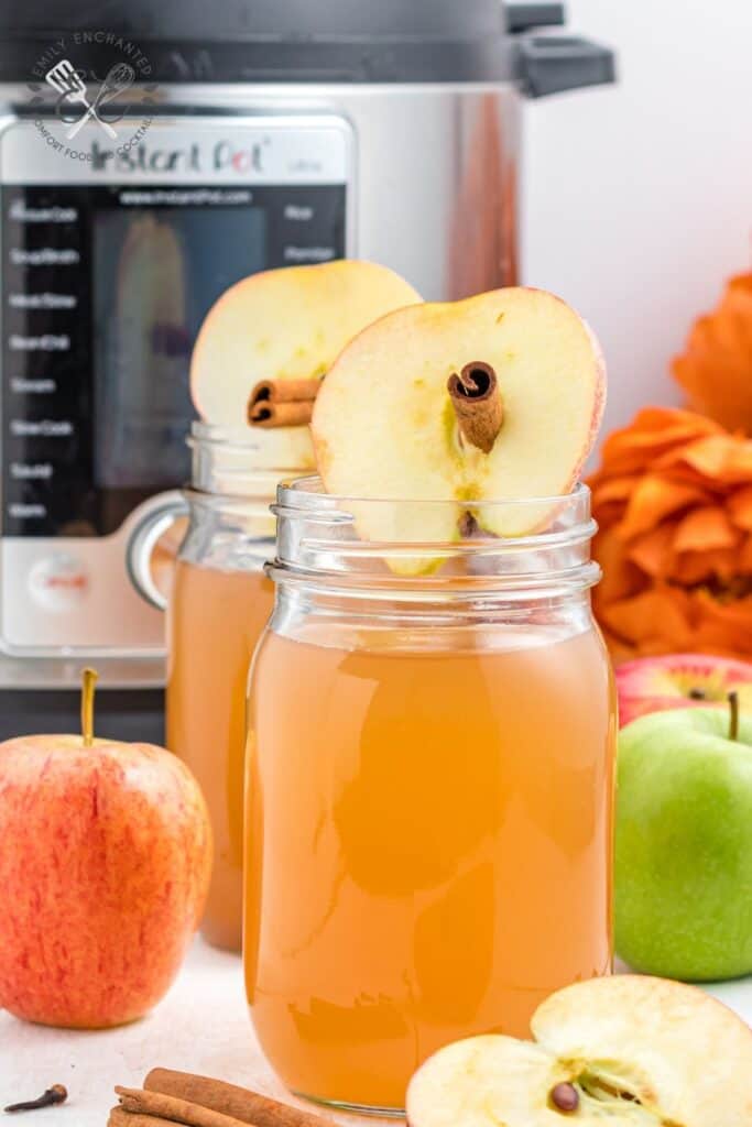 Instant Pot Apple Cider