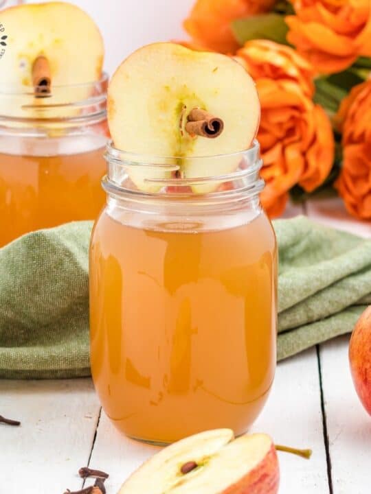 The Best Apple Cider Mojito Fall Cocktail Recipe