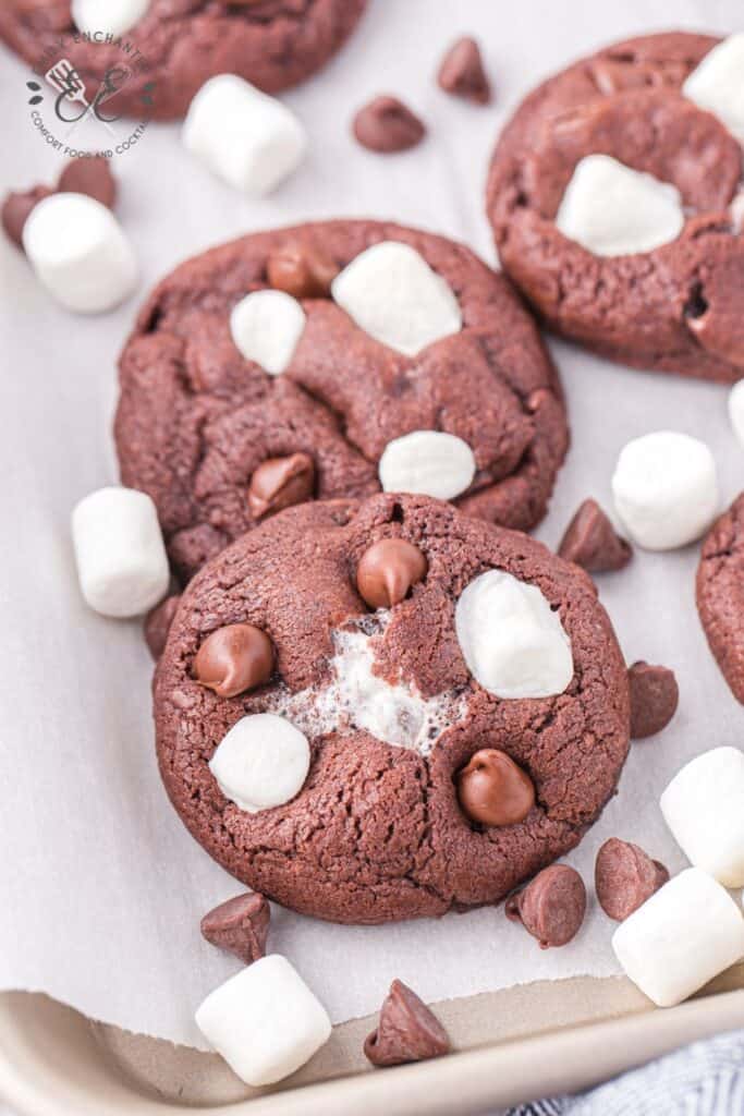 Hot Chocolate Cookies with Marshmallows