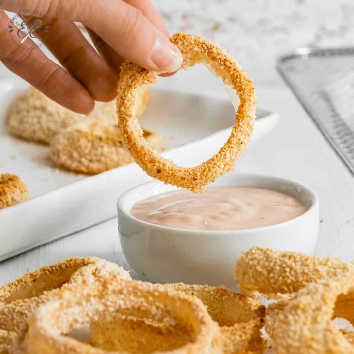 Air Fryer Onion Rings