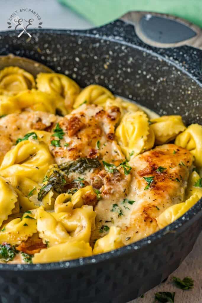 Tortellini Recipe with Parmesan Chicken