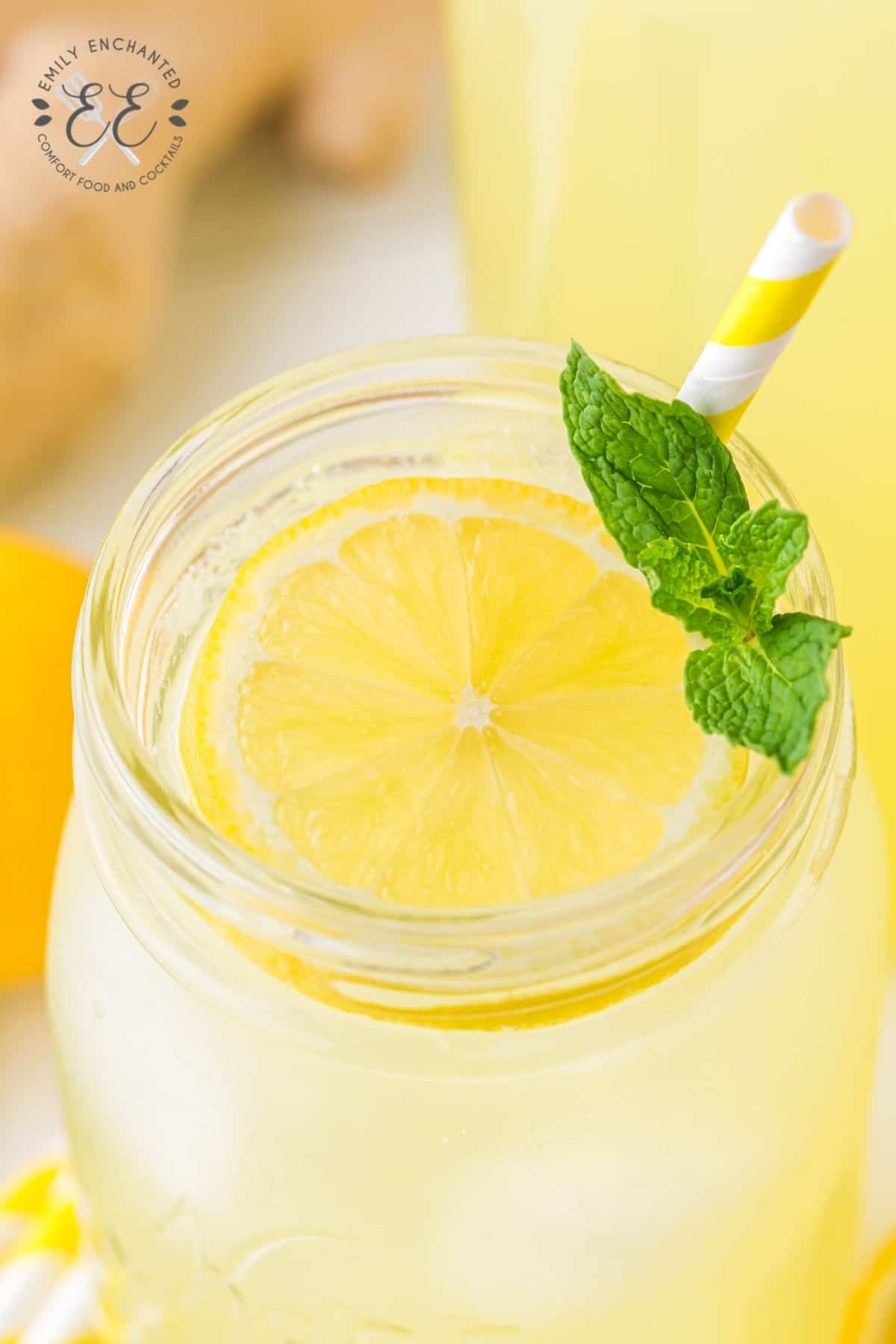 Close up of lemon slice and mint garnish in lemonade