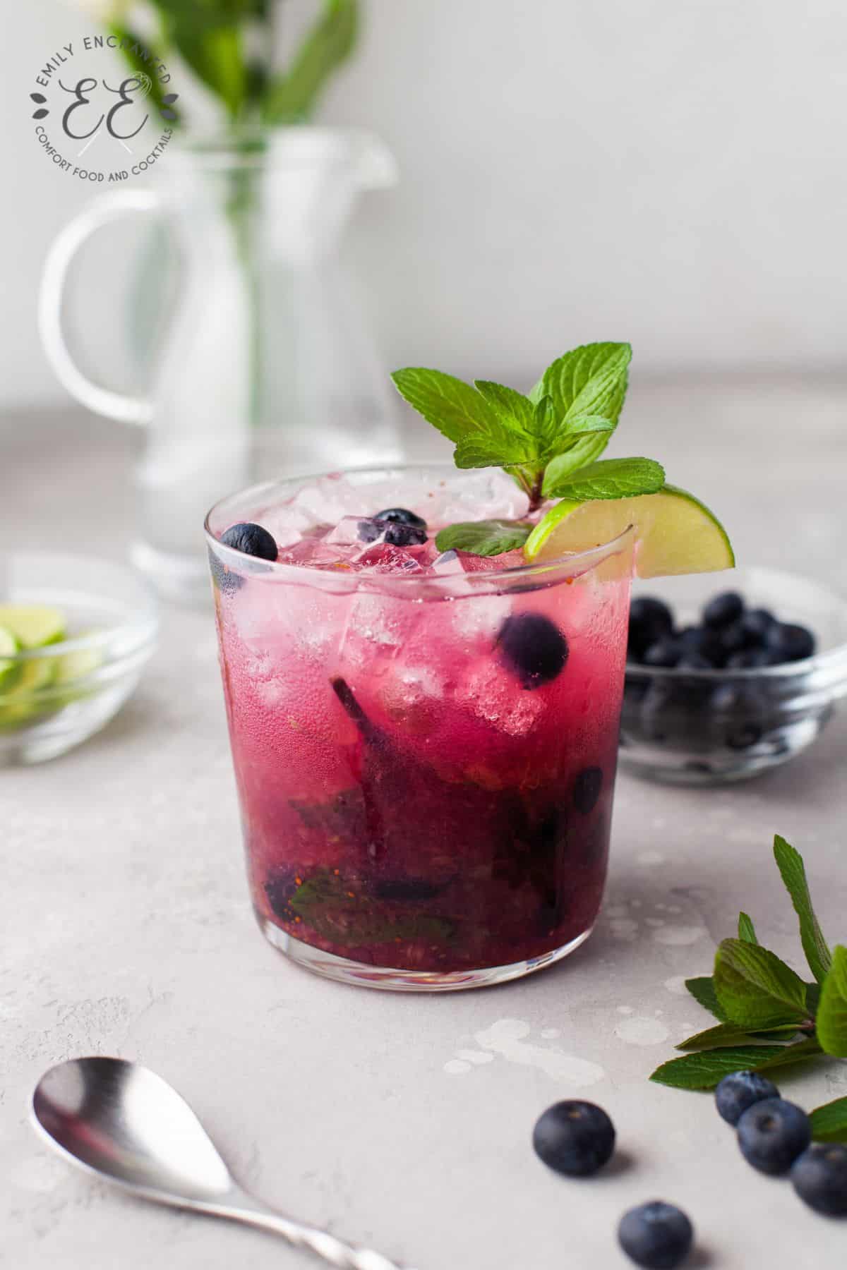 Blueberry Mojito Cocktail