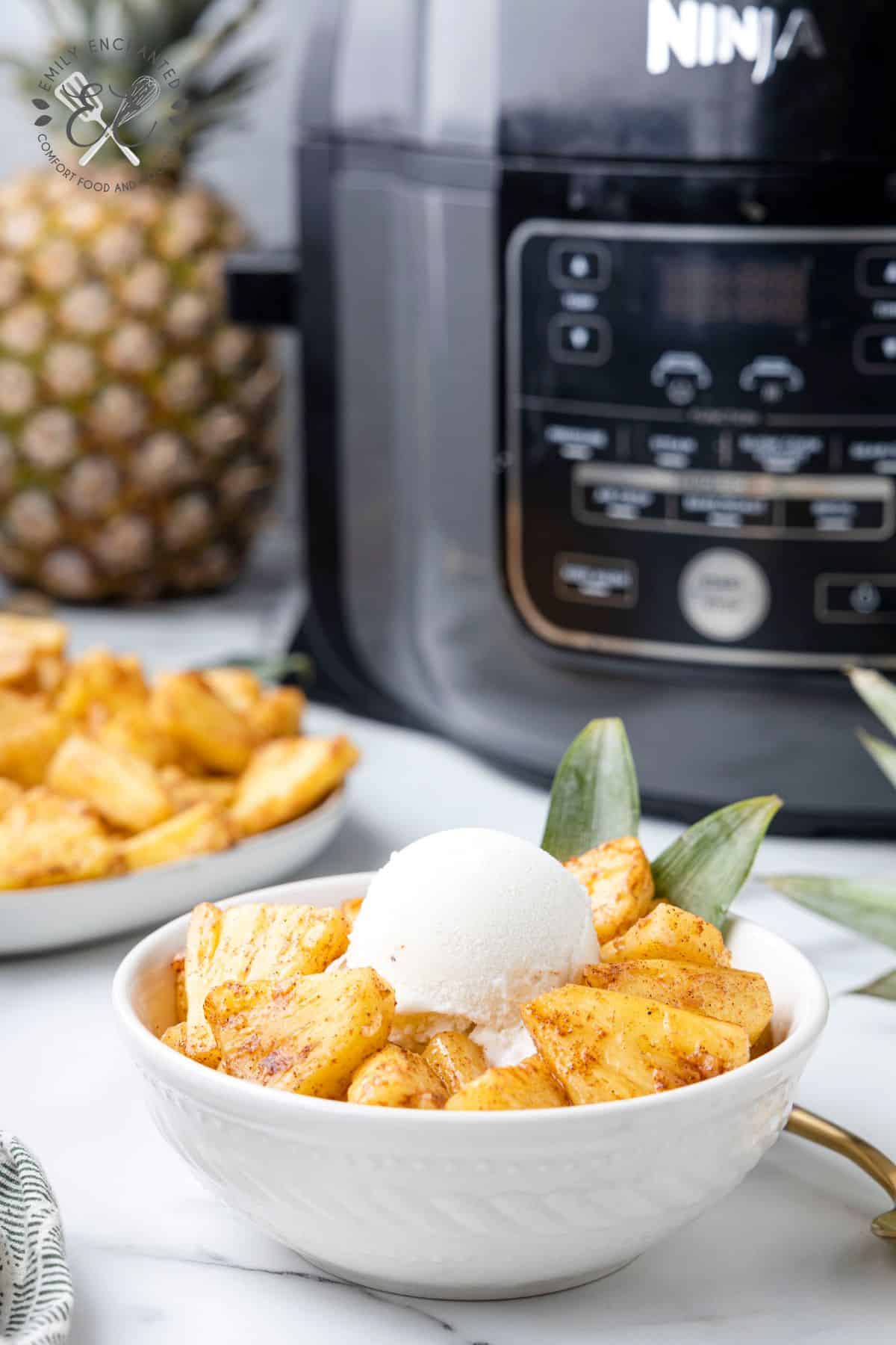 How to use an instant pot air fryer - Pineapple Farmhouse