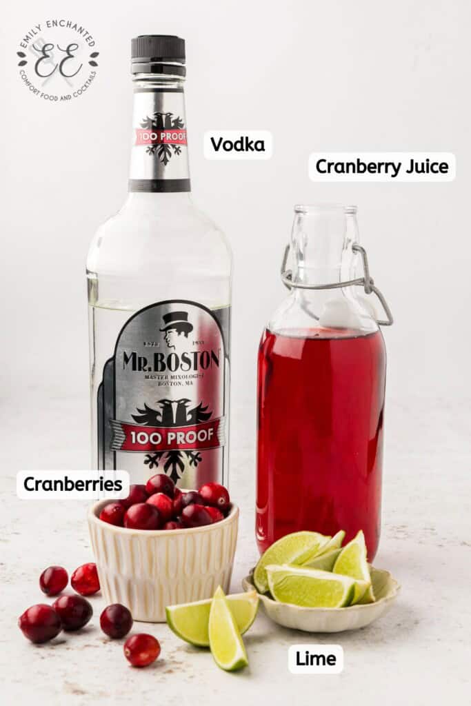 Cranberry Martini Recipe Ingredients Labeled